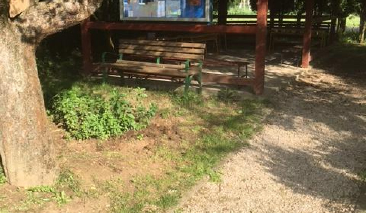 Bylinková záhrada